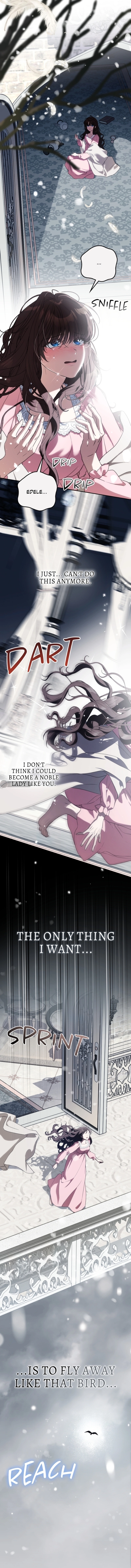 Duchess in Ruins Chapter 10 Page 11