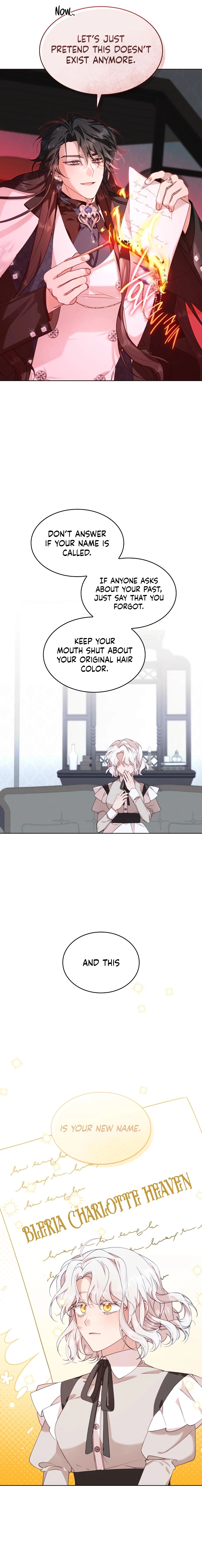 The Day the Real One Appeared Chapter 1 Page 13
