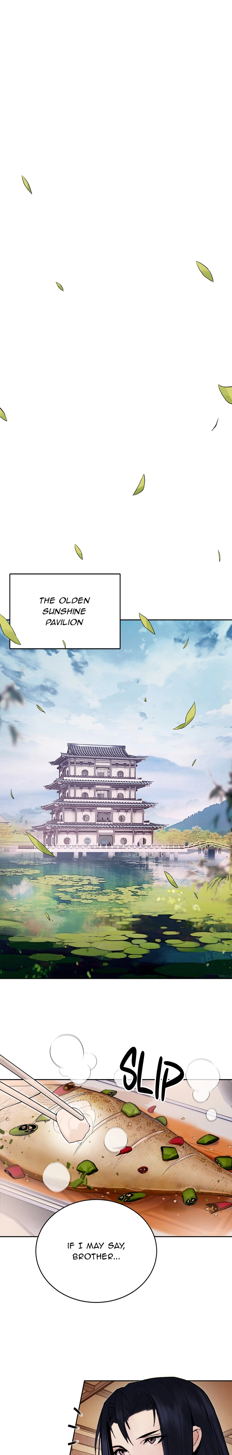 Dark and Light Martial Emperor Chapter 2 Page 17
