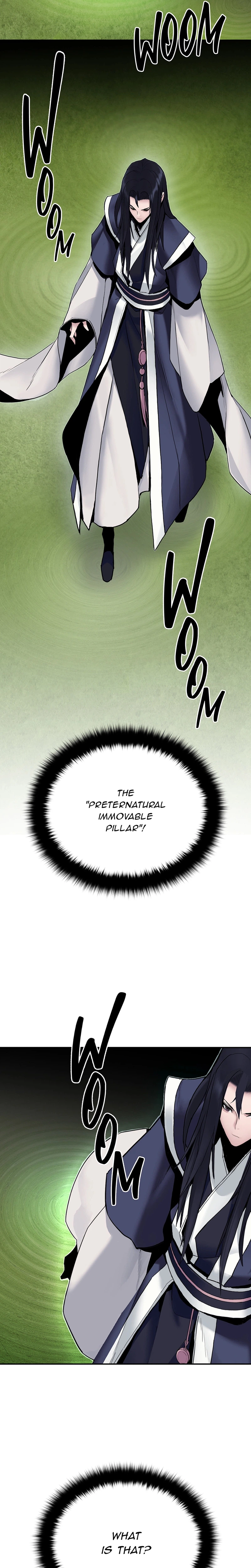 Dark and Light Martial Emperor Chapter 13 Page 16