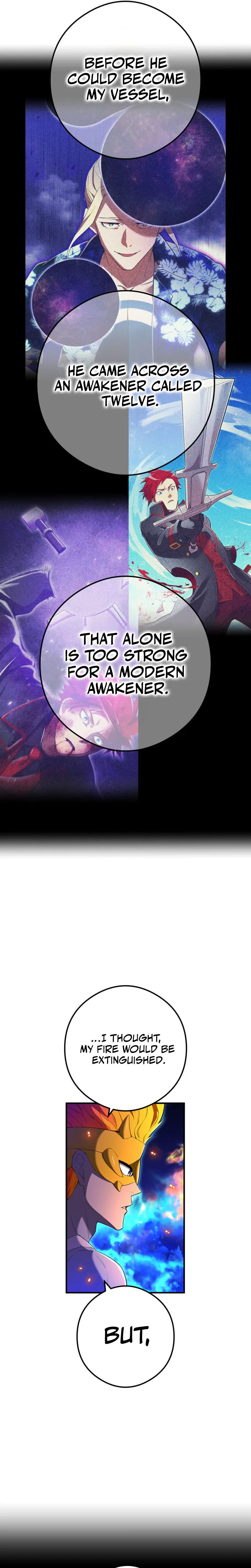 I am the Strongest Awakener, Recognized By All Of The World‘s Cheat Masters Chapter 95 Page 14