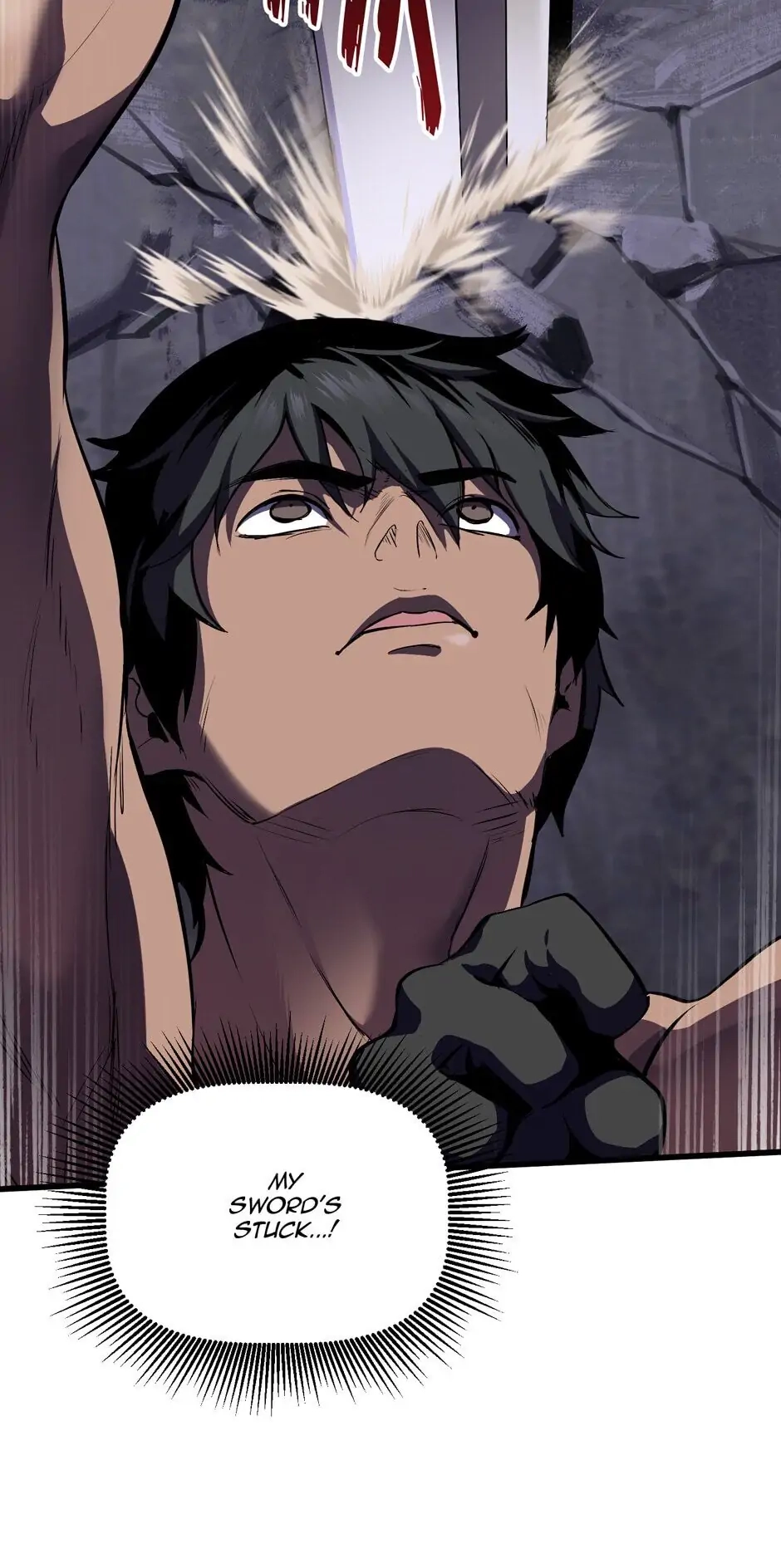 Survival Story of a Sword King in a Fantasy World Chapter 63 – Chapter 63
           : One on One Fight Page 17