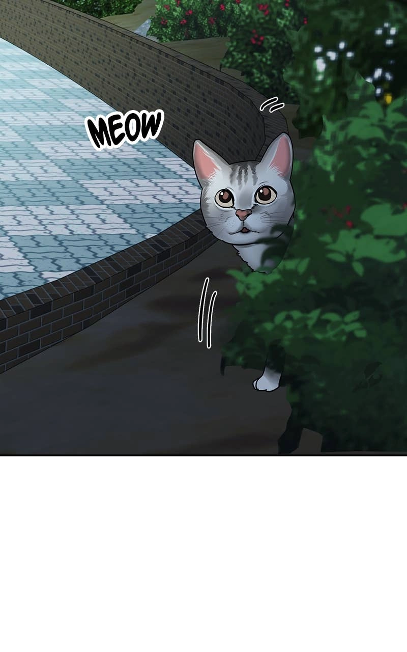 My Comeback as the Youngest Member Chapter 24 Page 5