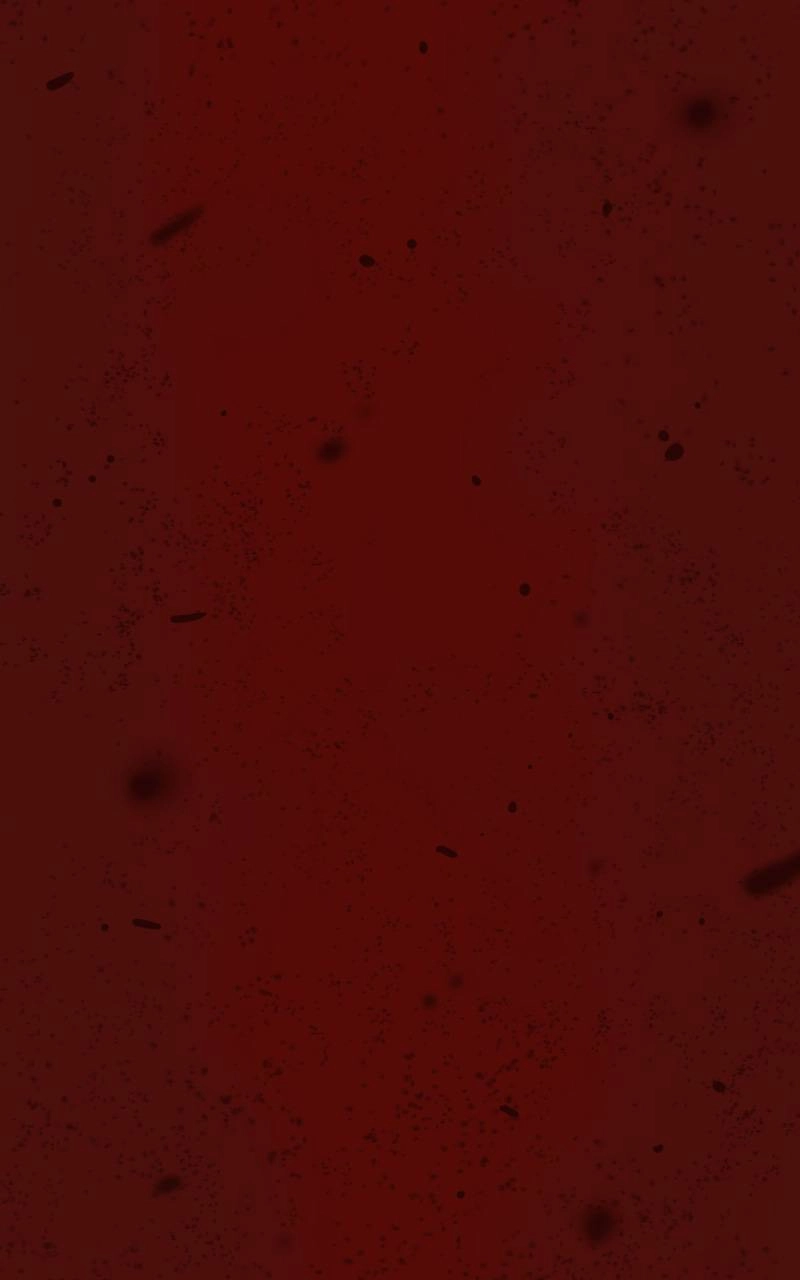 Ordeal Chapter 125 – Zahara's Light Page 81