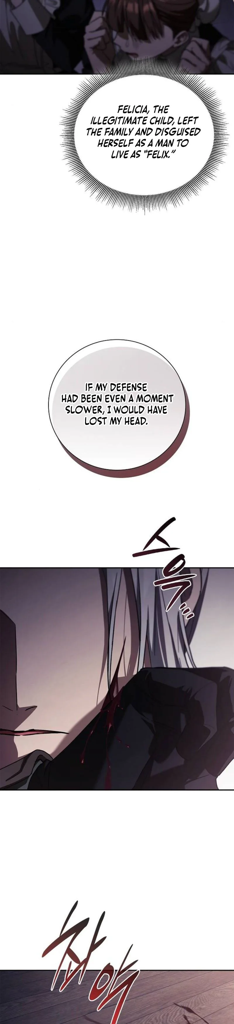 Reincarnated as the Grand Duke's Third Son Chapter 25 Page 18
