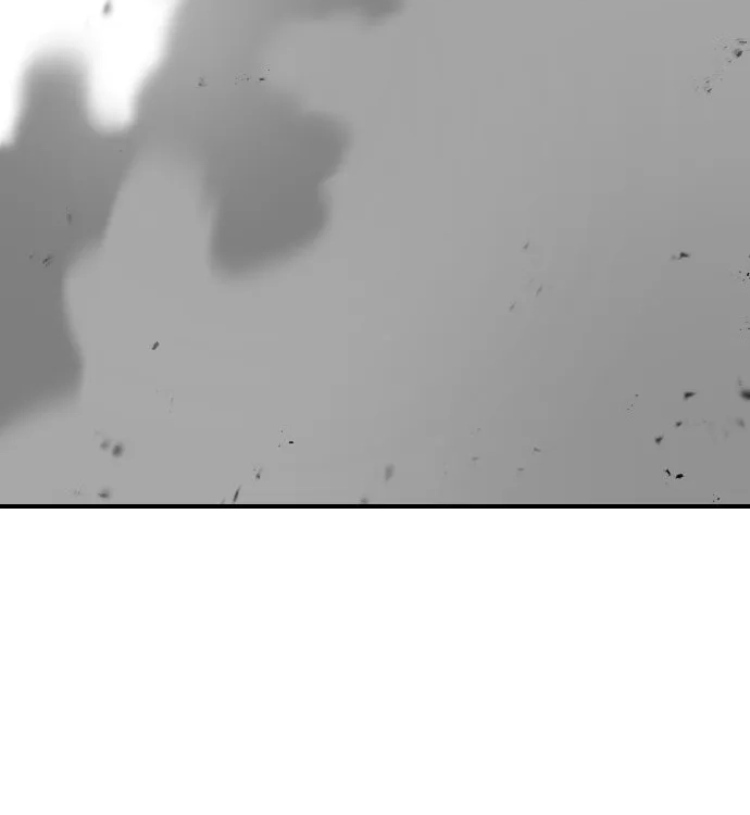 Reincarnation of the Veteran Soldier Chapter 13 Page 262
