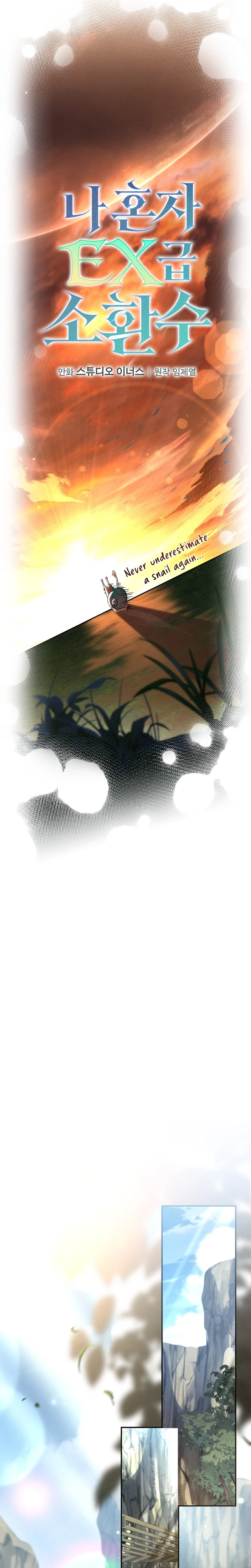 Solo EX-Rank Summoner Chapter 29 Page 10