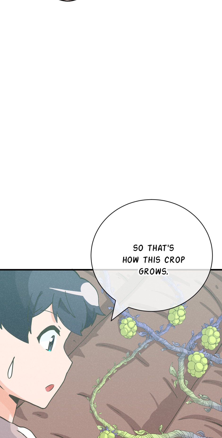 Spirit Farmer Chapter 141 Page 13