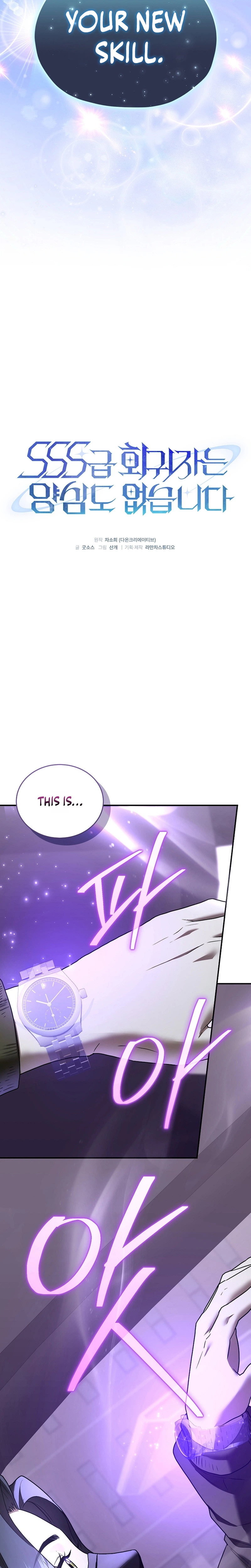 SSS-Class Regressor Has No Conscience Chapter 27 Page 11