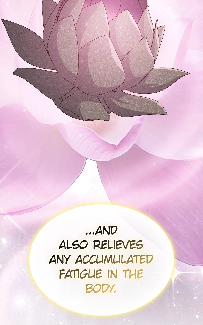 The Advanced Player of the Tutorial Tower Chapter 171 Page 17