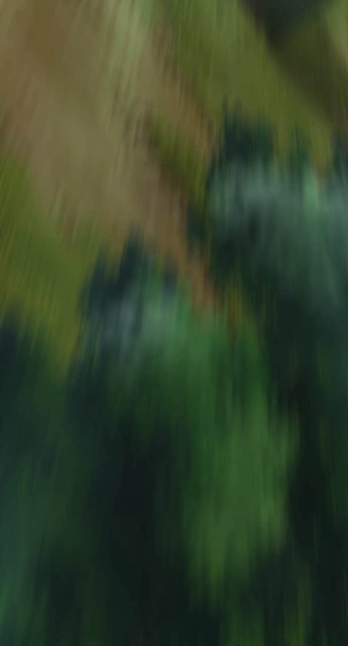 The Dang Clan’s Swordmaster Heir Just Wants a Normal Life Chapter 8 Page 77