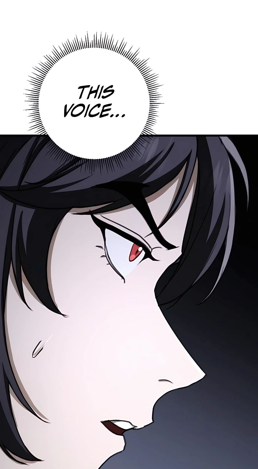 The Emperor’s Sword Chapter 46 Page 107