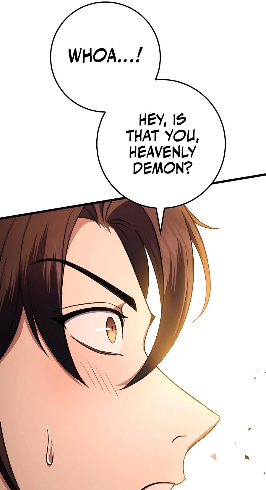 The Emperor’s Sword Chapter 30 Page 101