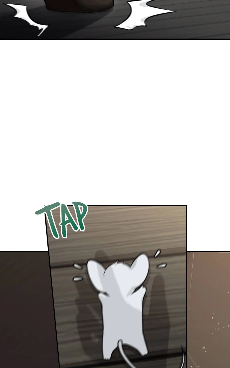 The Laws of Cultivation Chapter 3 Page 49