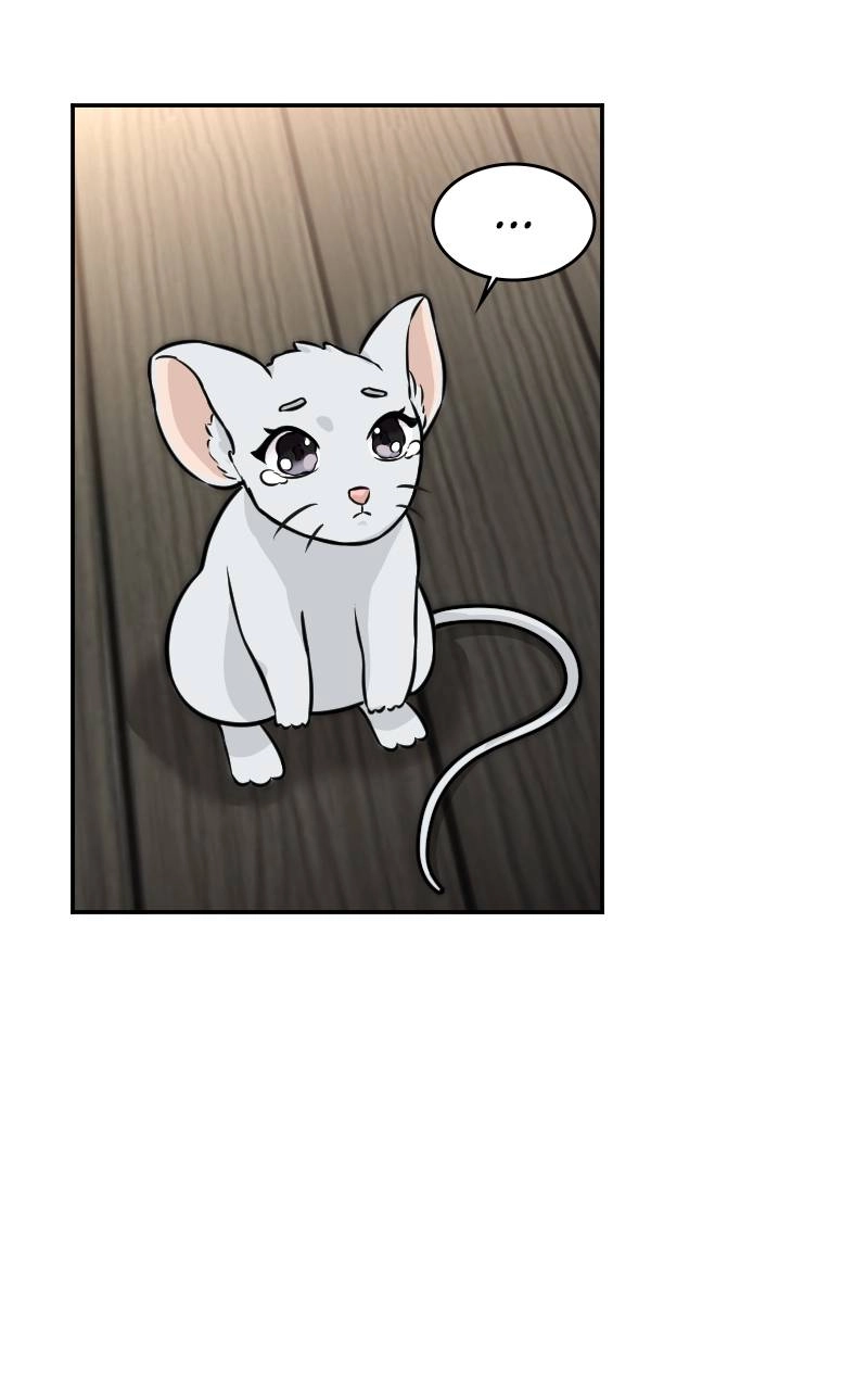 The Laws of Cultivation Chapter 3 Page 68