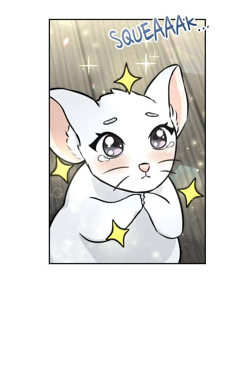 The Laws of Cultivation Chapter 3 Page 69