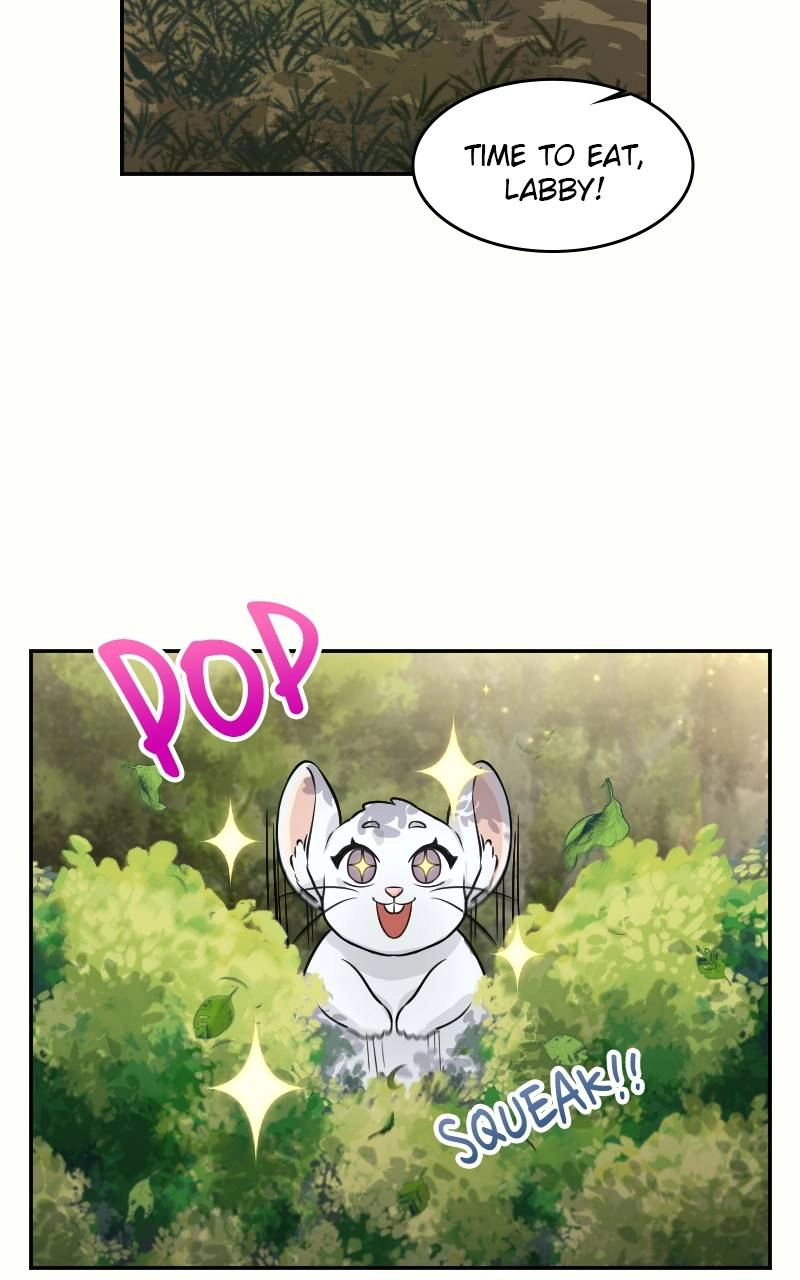 The Laws of Cultivation Chapter 4 Page 17