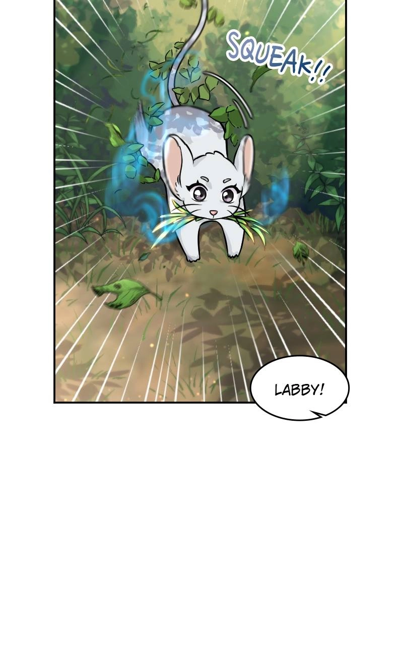 The Laws of Cultivation Chapter 4 Page 5