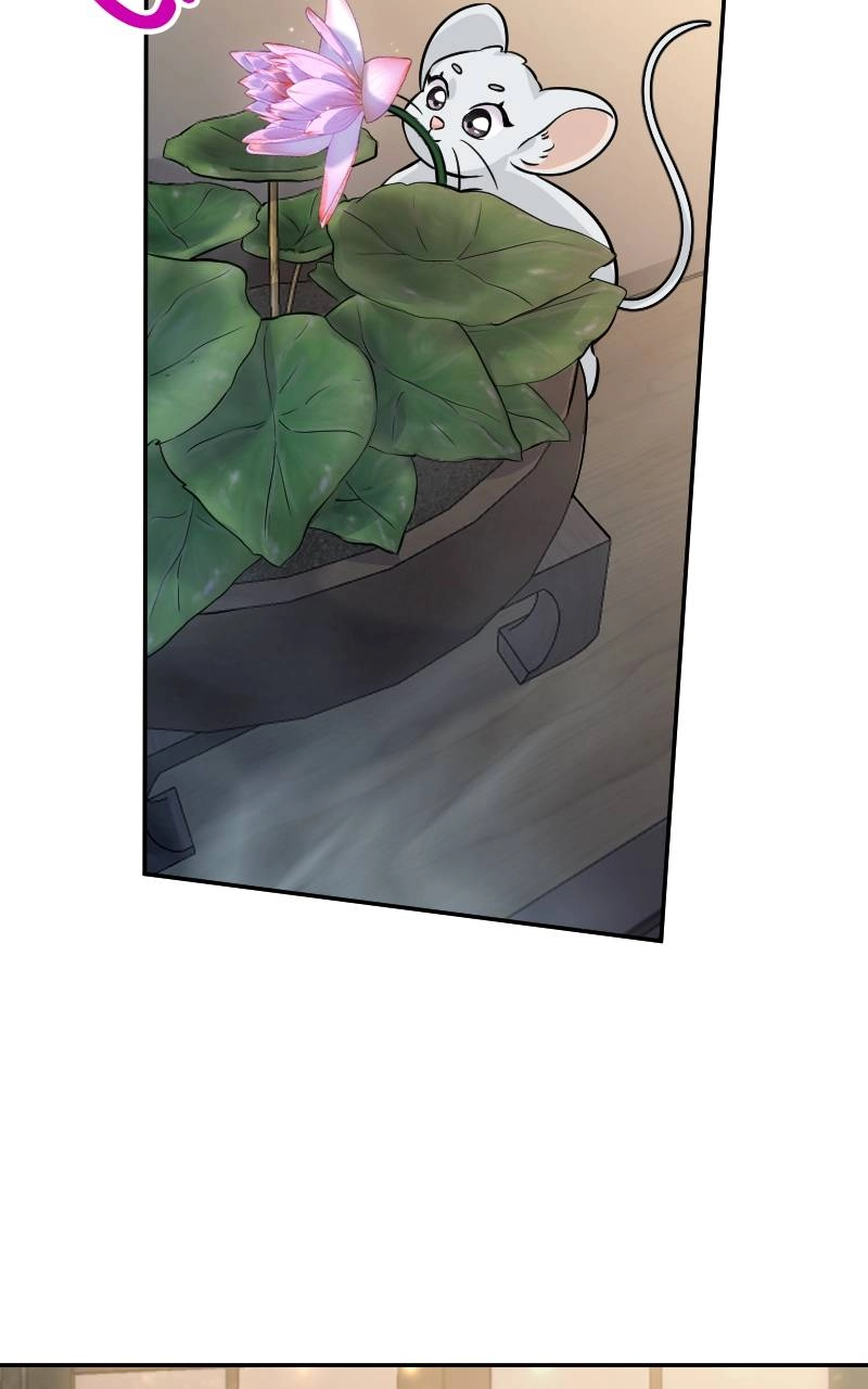 The Laws of Cultivation Chapter 4 Page 66