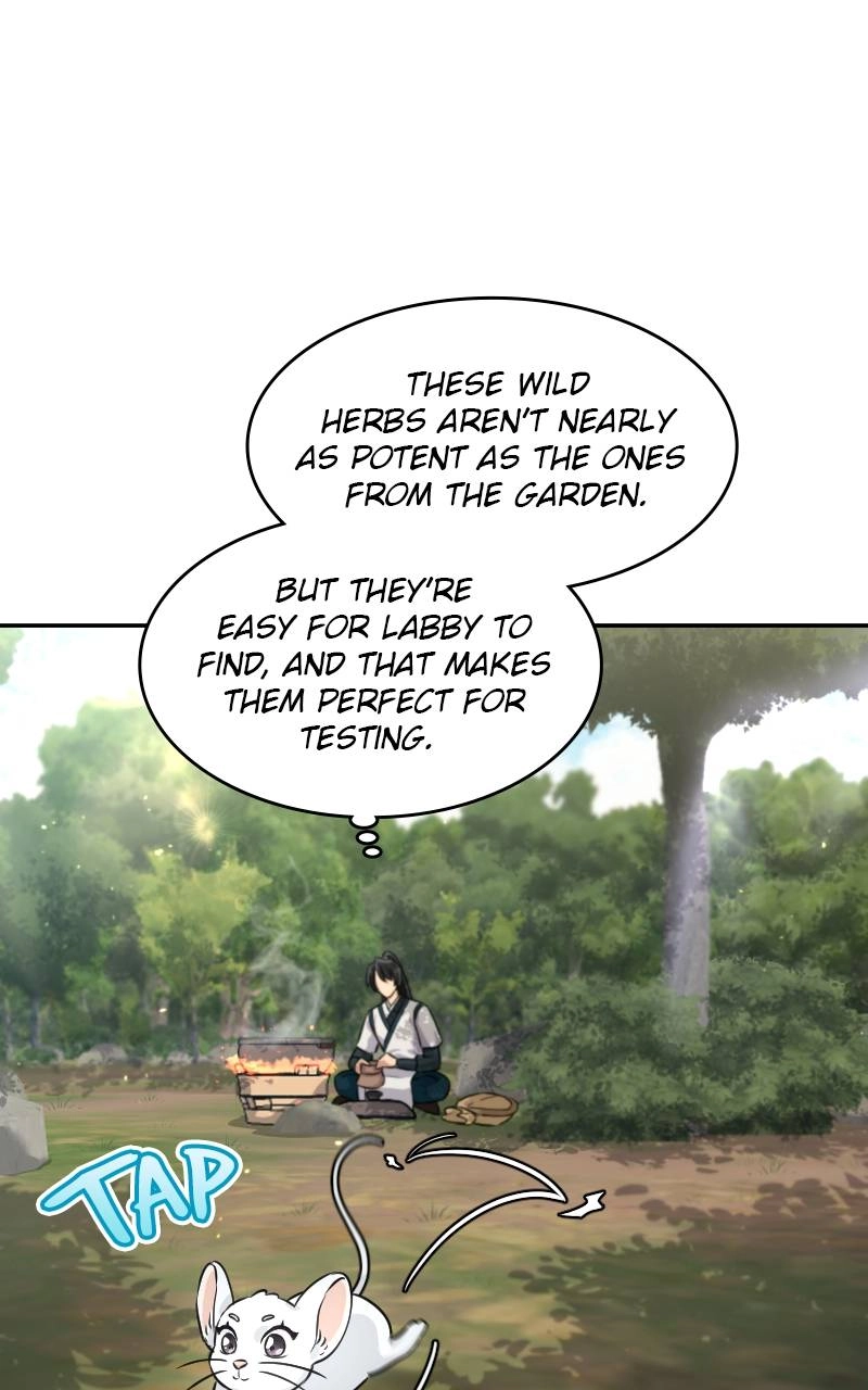 The Laws of Cultivation Chapter 4 Page 8