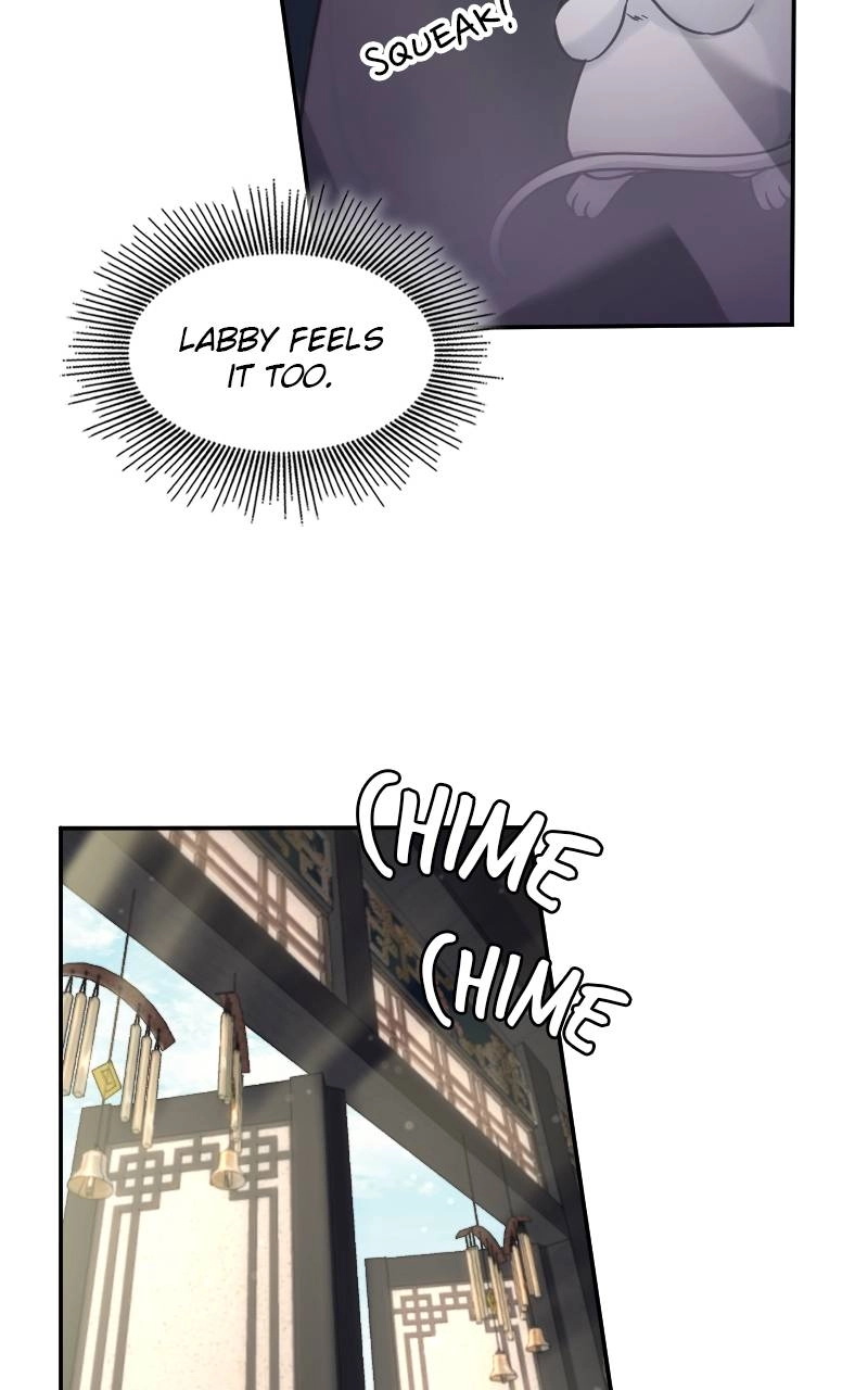 The Laws of Cultivation Chapter 8 Page 50