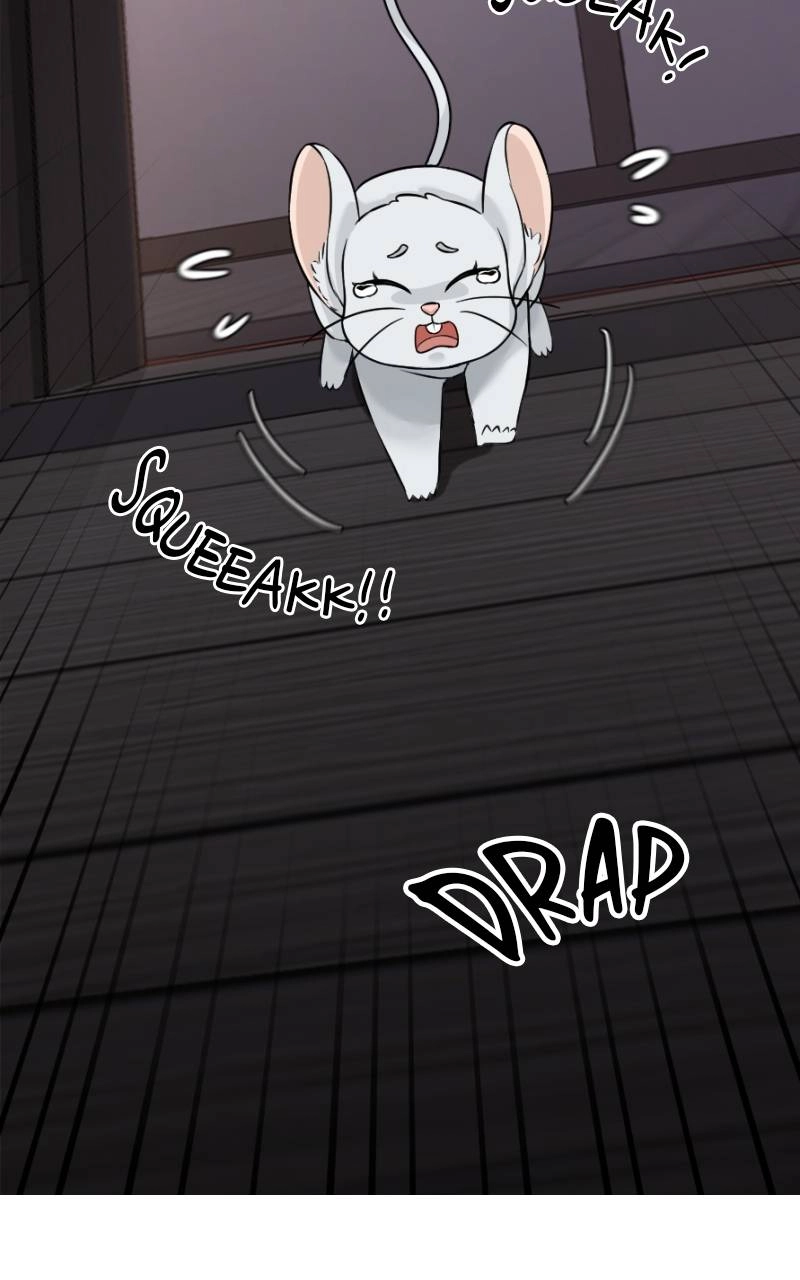 The Laws of Cultivation Chapter 6 Page 49
