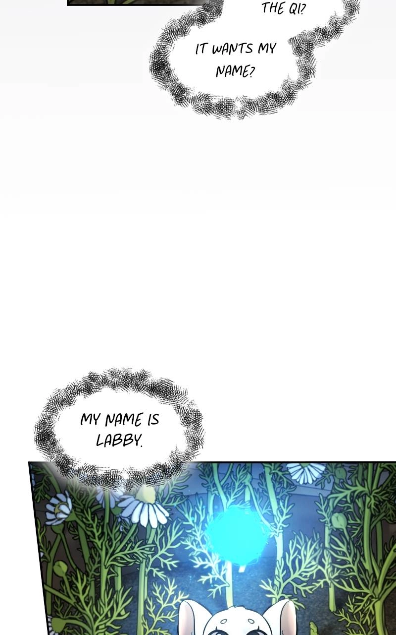 The Laws of Cultivation Chapter 7 Page 12