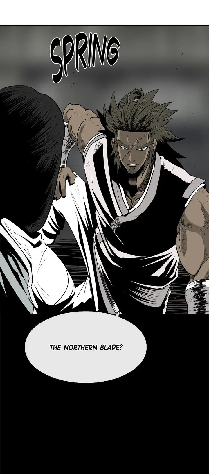 The Legend of the Northern Blade Chapter 81 Page 29