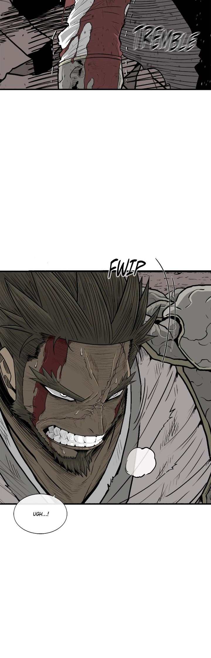The Legend of the Northern Blade Chapter 164 Page 15