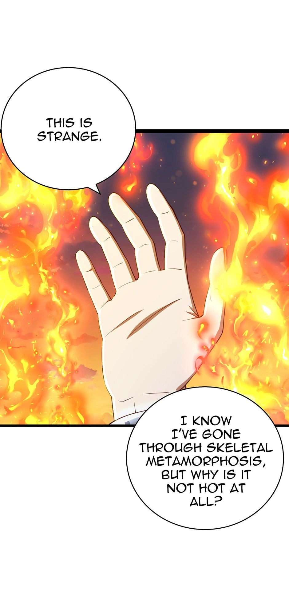 The Lord of Coins Chapter 88 – Reason to Fight Page 36