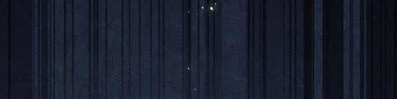 The Misfit of the Martial World Chapter 12 Page 6