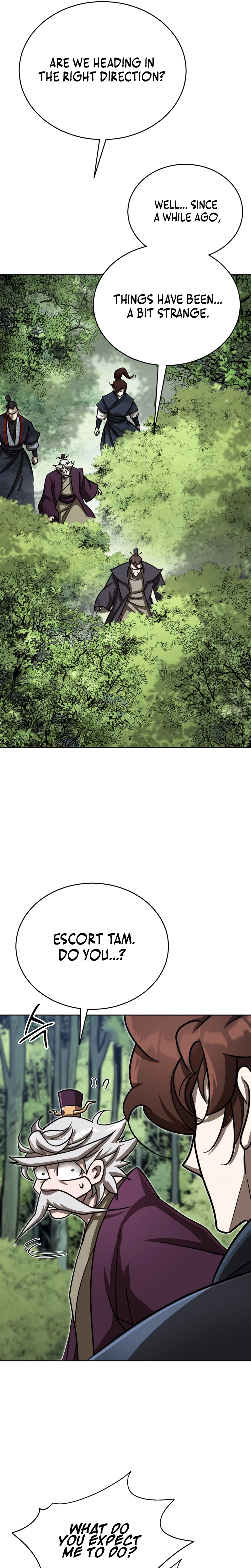 The Misfit of the Martial World Chapter 19 Page 29