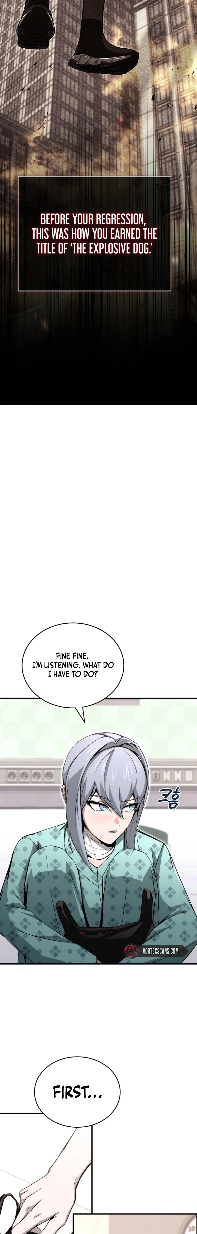 The Regressor Makes Everything Chapter 26 Page 13