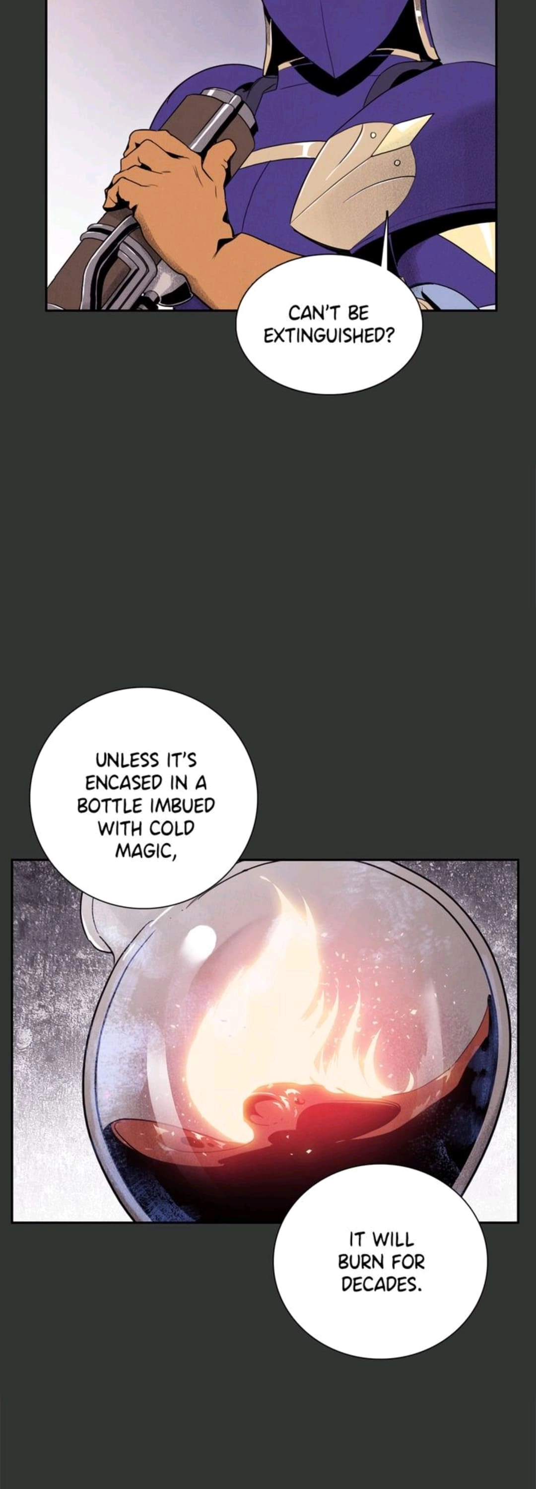 The Skeleton Soldier Failed to Defend the Dungeon Chapter 14 Page 13