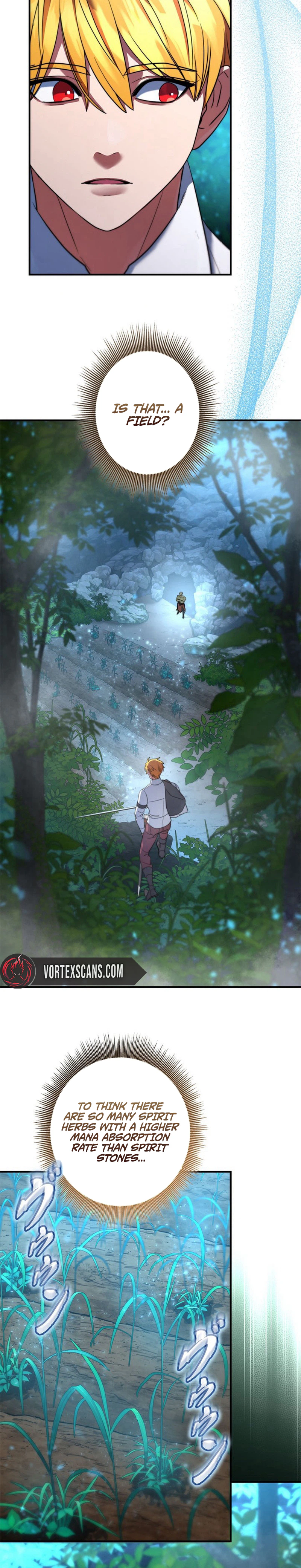 The Sword Emperor Reincarnated into a Swordmaster Clan Chapter 12 Page 13