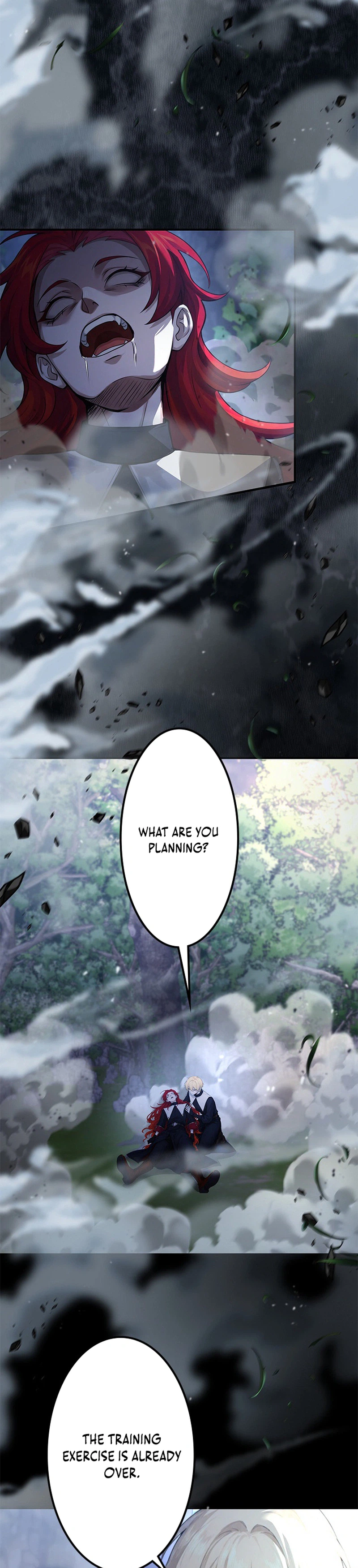 The Sword Saint Reincarnated into a Noble Mage Family Chapter 14 Page 12
