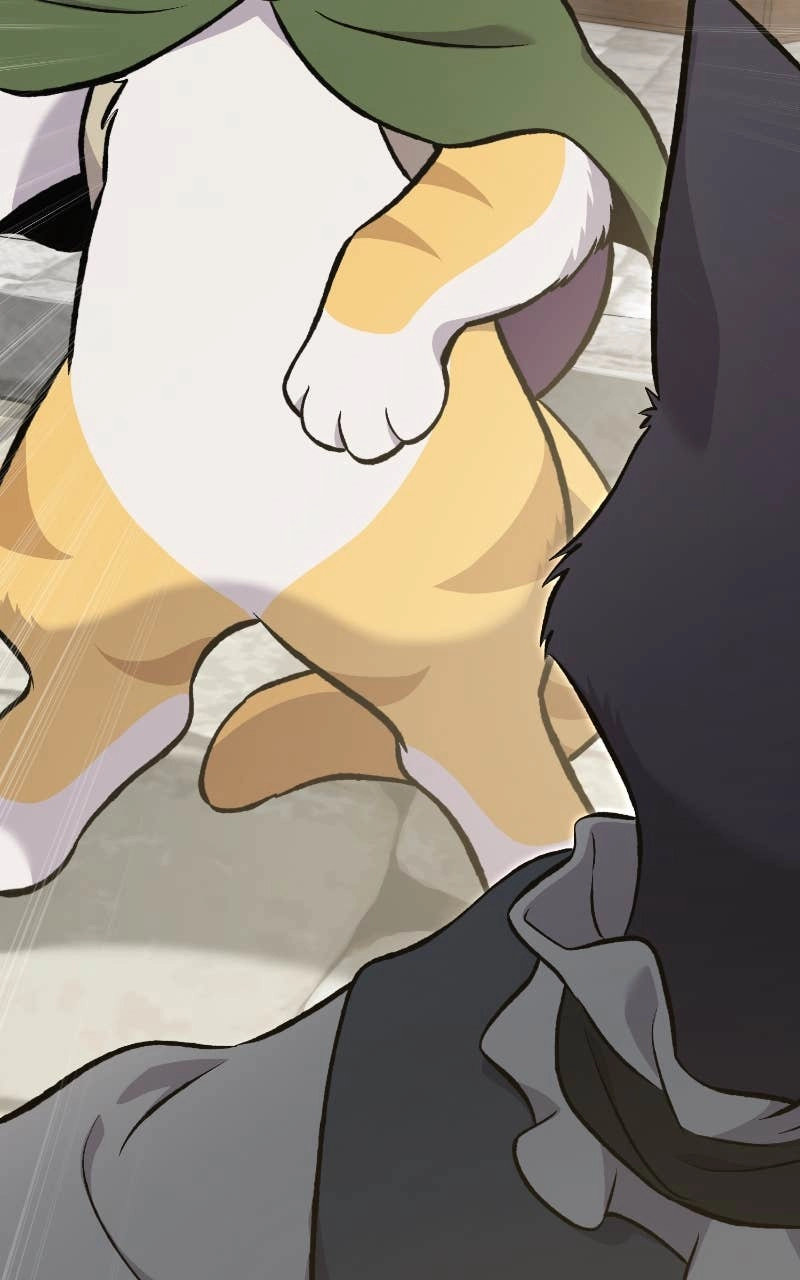 Solo Farming In The Tower Chapter 74 – We Shall Meet Again, Meow Page 43