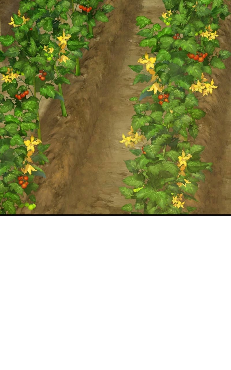 Solo Farming In The Tower Chapter 71 – New Talent Unlocked Page 137