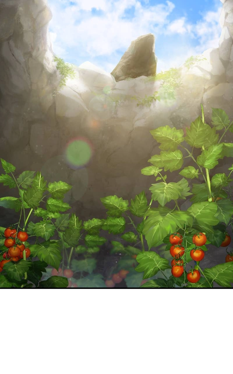 Solo Farming In The Tower Chapter 57 – The Red Ribbon Kingdom Page 112