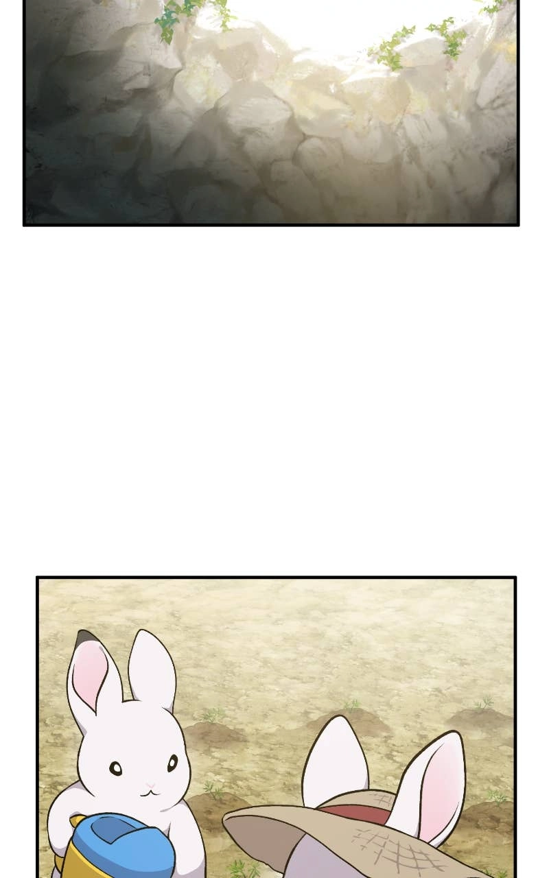 Solo Farming In The Tower Chapter 10 – White and Black Bunnies Page 49
