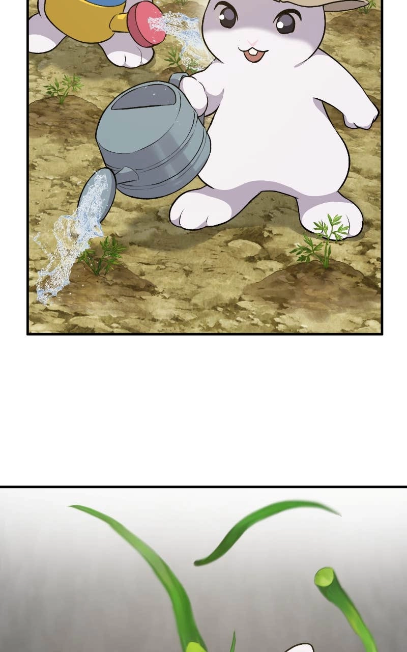 Solo Farming In The Tower Chapter 10 – White and Black Bunnies Page 50