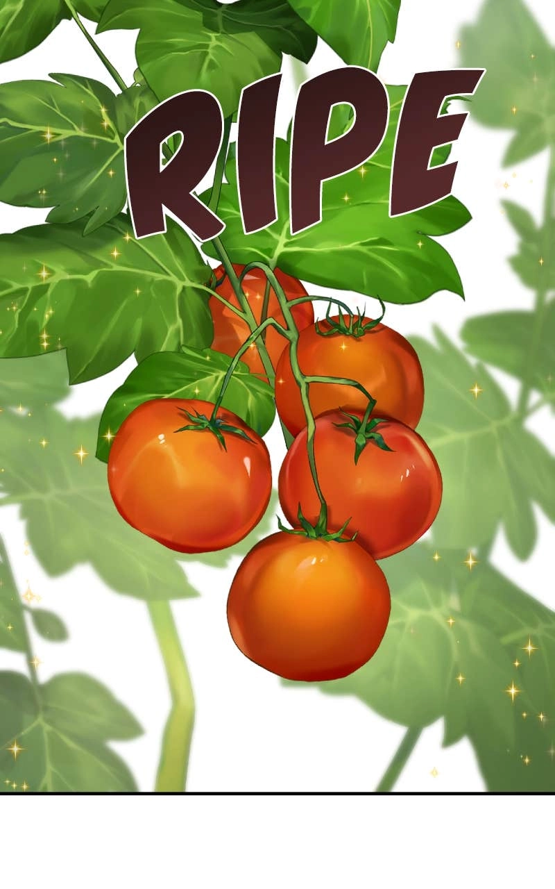 Solo Farming In The Tower Chapter 6 – Cherry Tomatoes Page 51