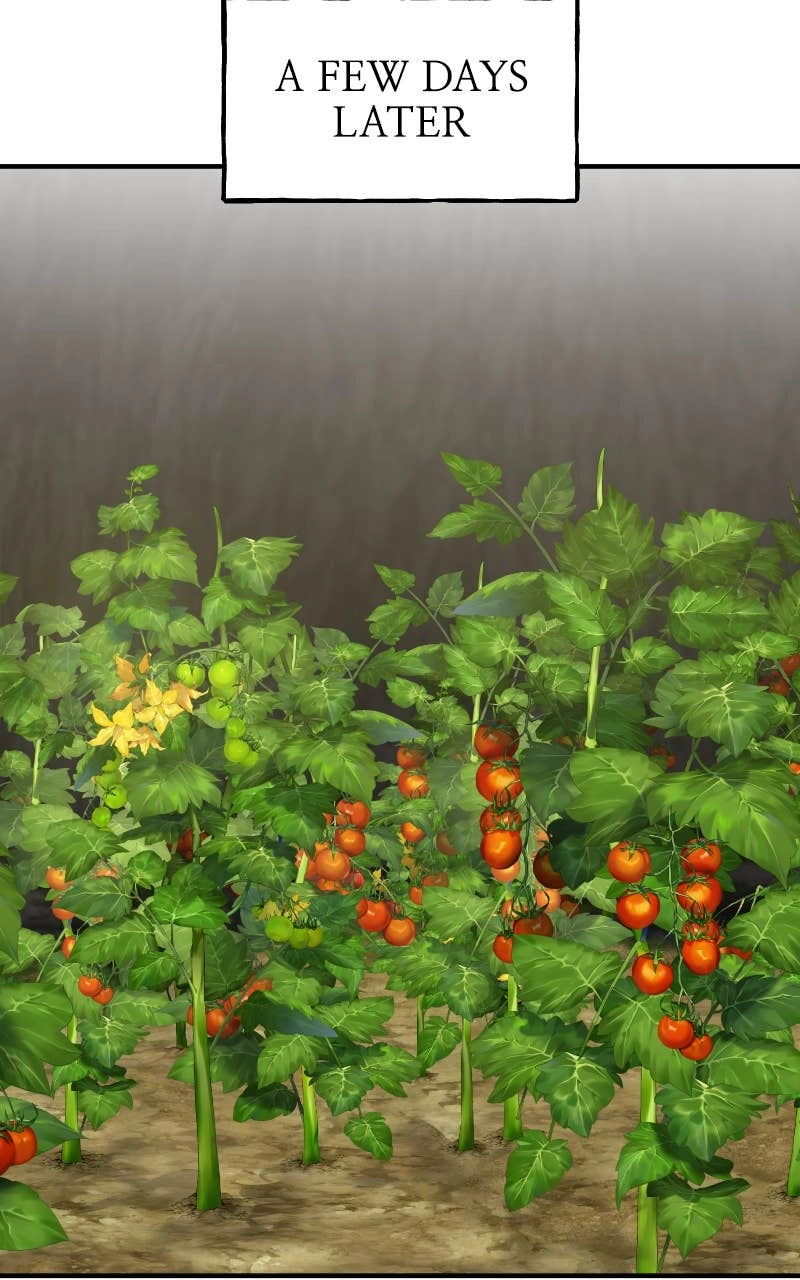 Solo Farming In The Tower Chapter 24 – Beh? Page 144