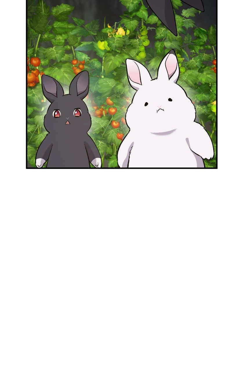 Solo Farming In The Tower Chapter 24 – Beh? Page 62