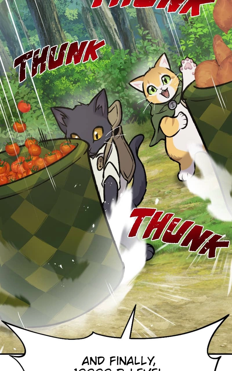 Solo Farming In The Tower Chapter 95 – A Kidnapping?! Page 47