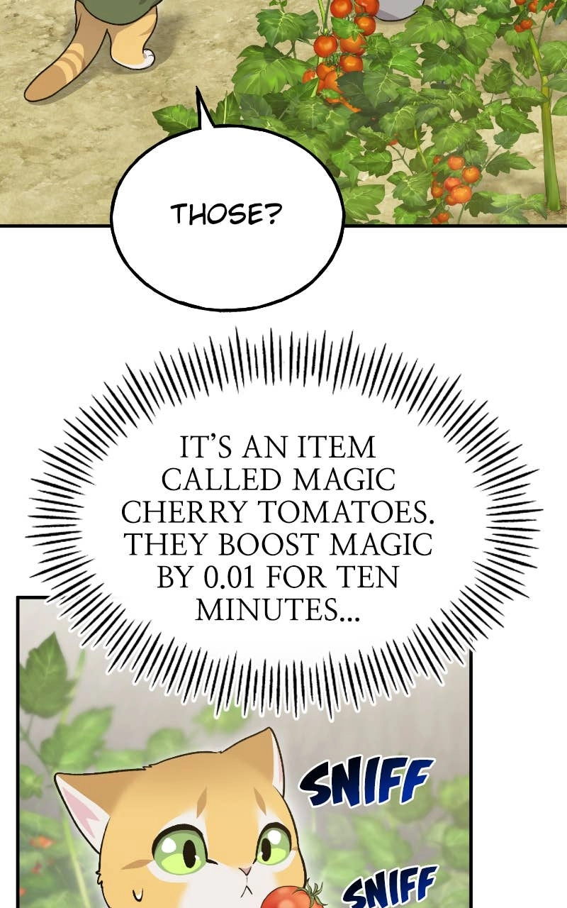 Solo Farming In The Tower Chapter 12 – Business Partners Page 74