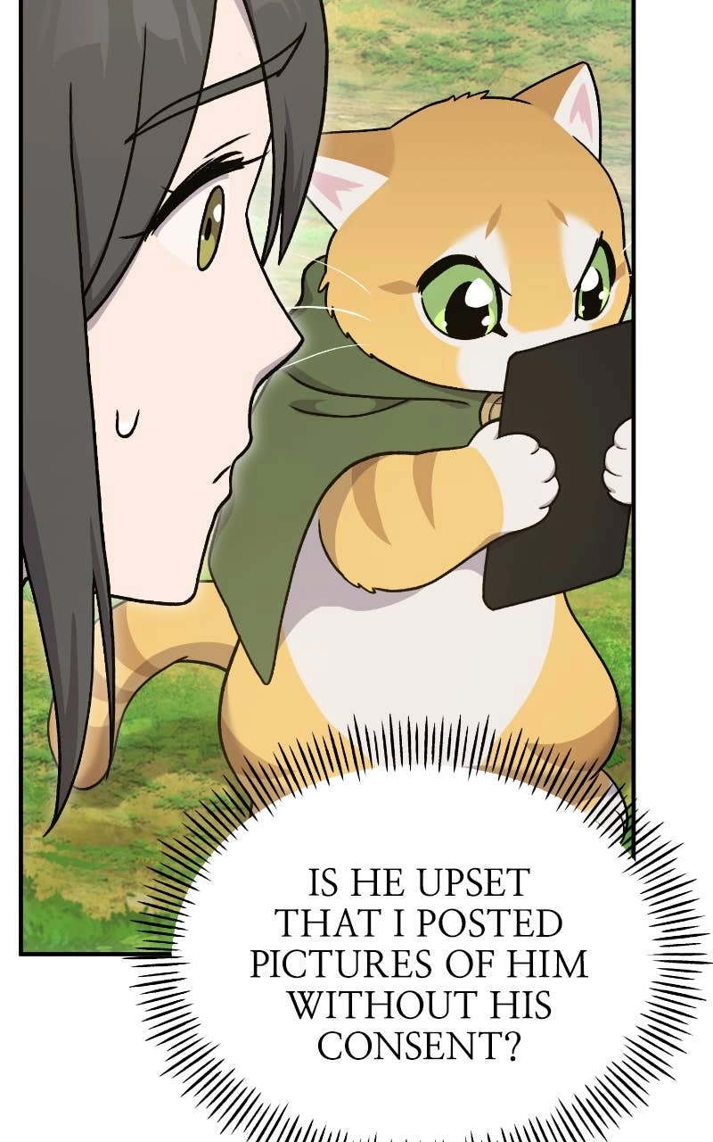 Solo Farming In The Tower Chapter 36 – Meow, Hic! Meow, Hic! Page 5