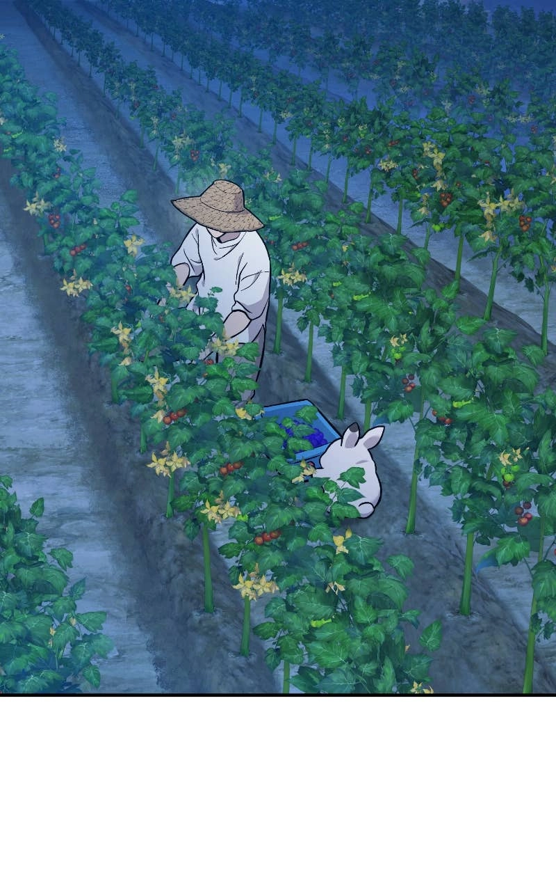 Solo Farming In The Tower Chapter 81 – A Losing Battle Page 14