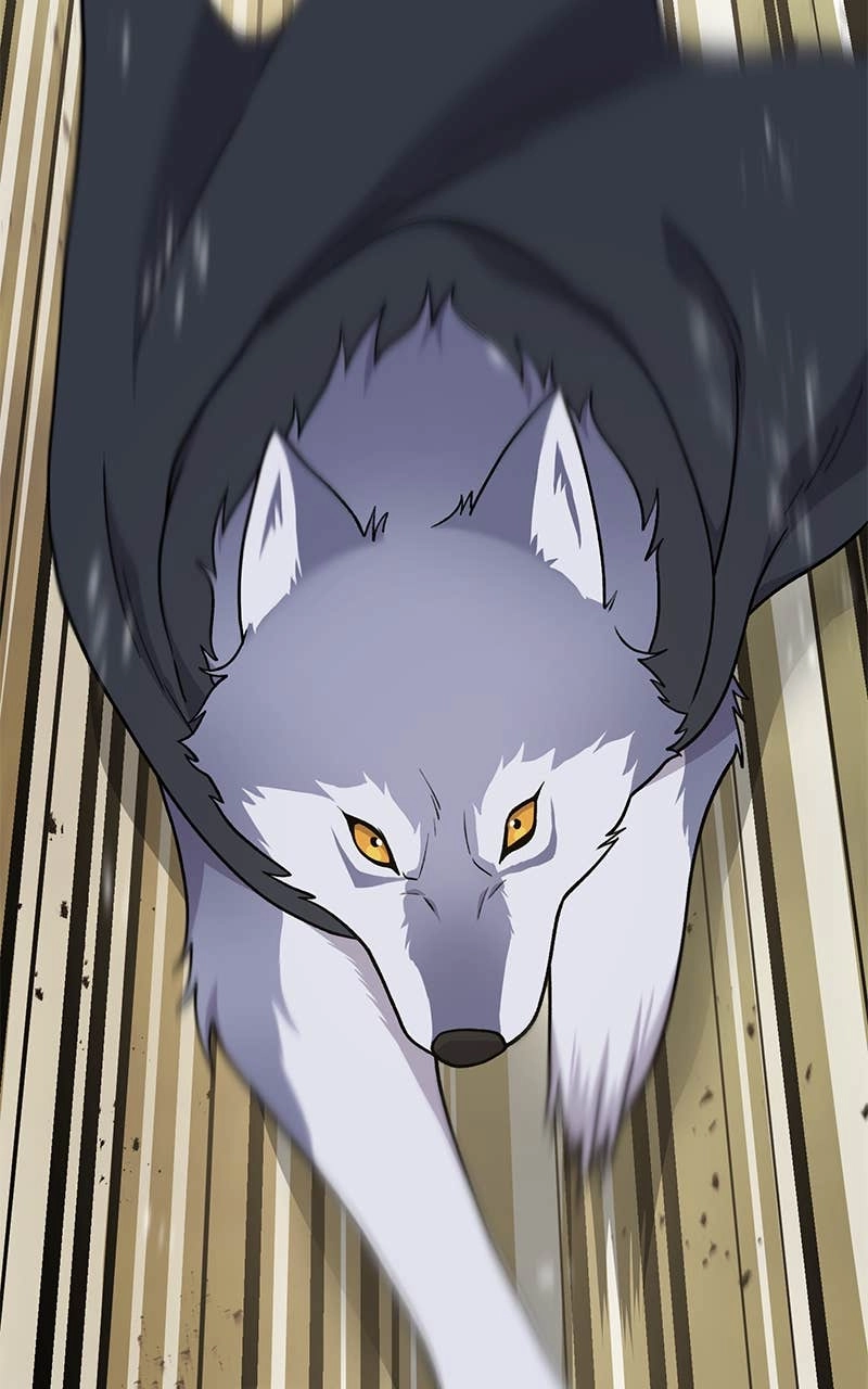 Solo Farming In The Tower Chapter 44 – The Silver Wolves Page 13