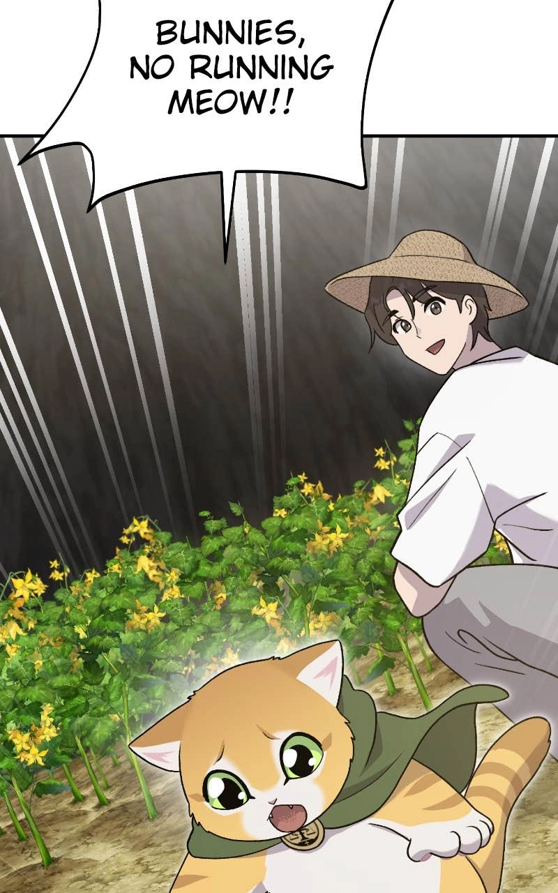 Solo Farming In The Tower Chapter 31 – It's Uncle Teo Meow! Page 11